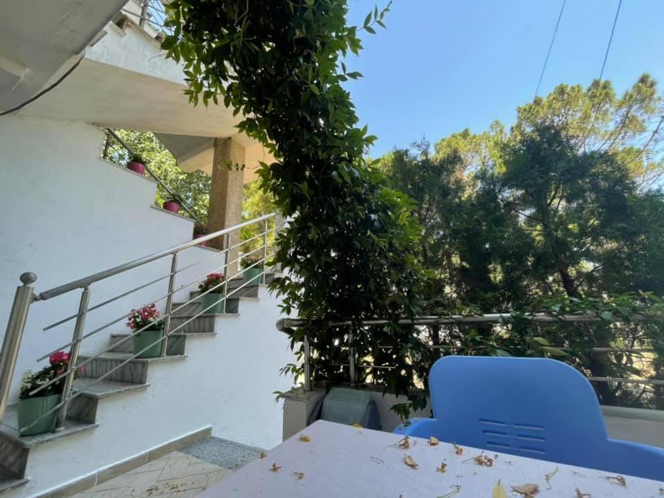 Aparthotel Vila Tufi Velipojë 외부 사진